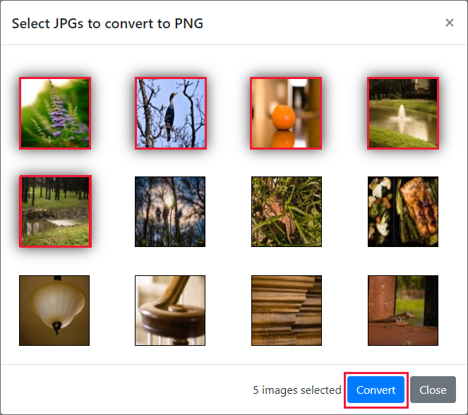 Screenshot showing available images to convert, with five images selected.