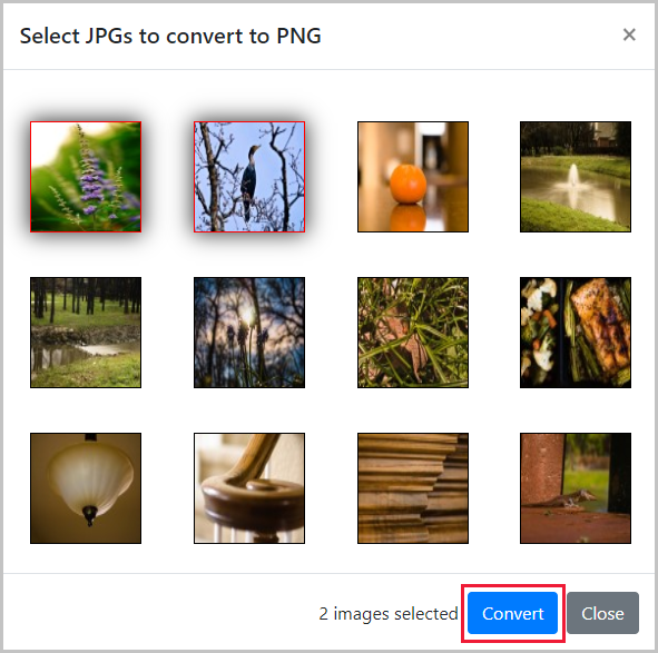 Screenshot showing available images to convert, with first two images selected.