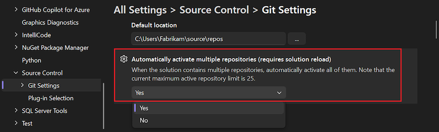 Screenshot of the 'Automatically activate multiple repositories' option in the Options pane.